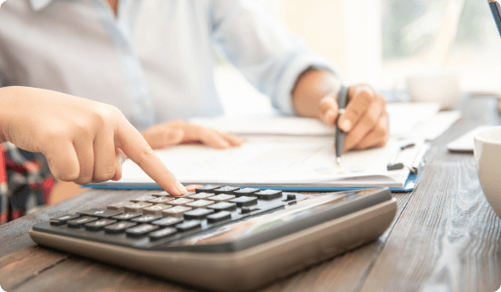 Domestic Taxation